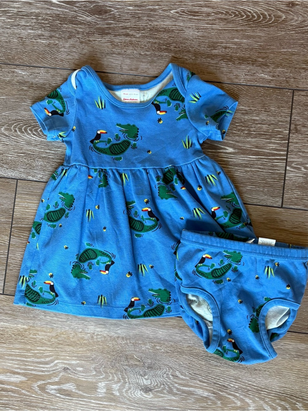 Hanna Andersson Alligator and Toucan Dress and Bloomers